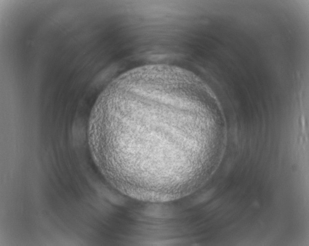 X0000081620234200702051241