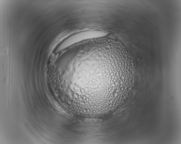X0000081620242200702051240