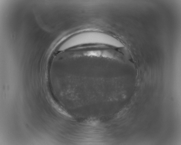 X0000081620247200702051240