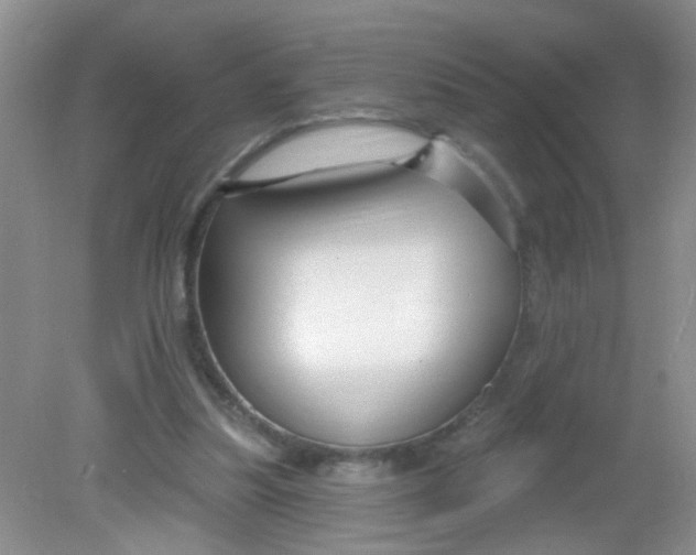 X0000081620251200702051240