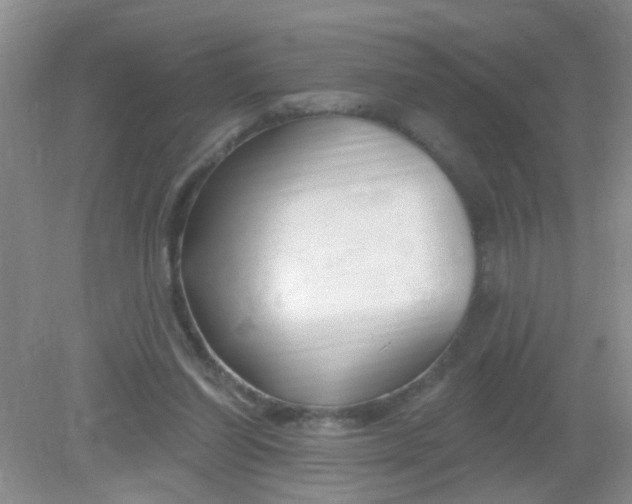 X0000081620254200702051240