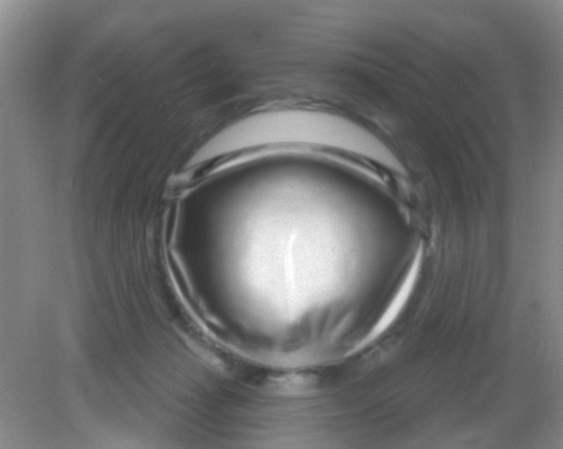X0000081620269200702051240