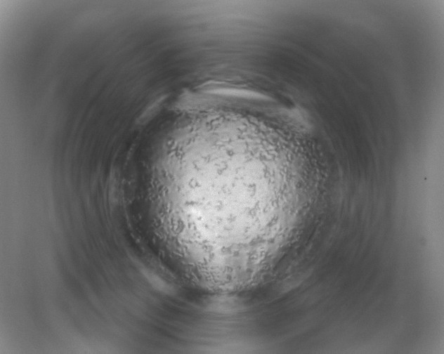 X0000081620273200702051240