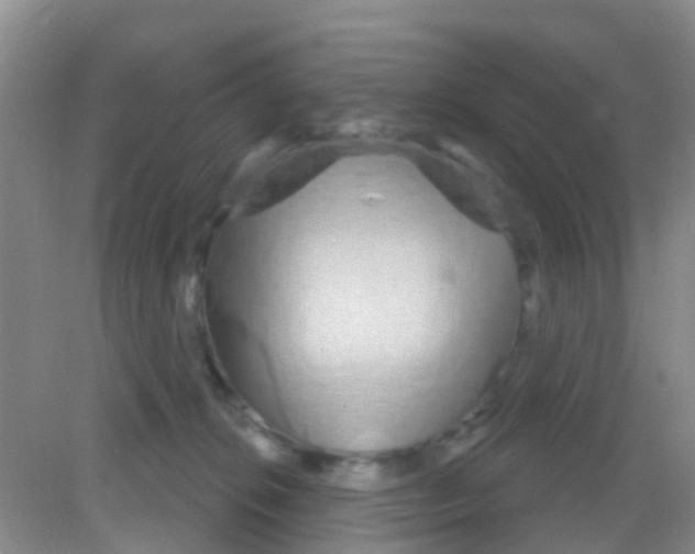 X0000081620276200702051240