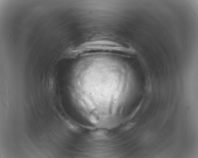 X0000081620281200702051240