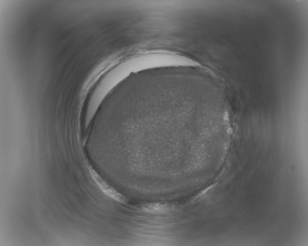 X0000081620293200702051240