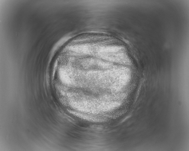 X0000081620294200702051240
