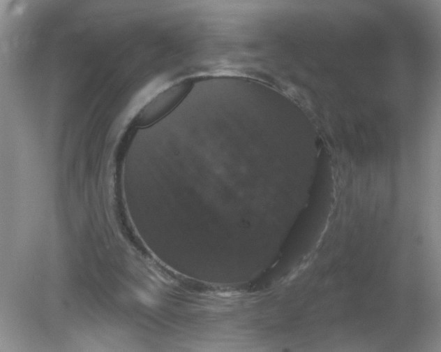 X0000081620295200702051240