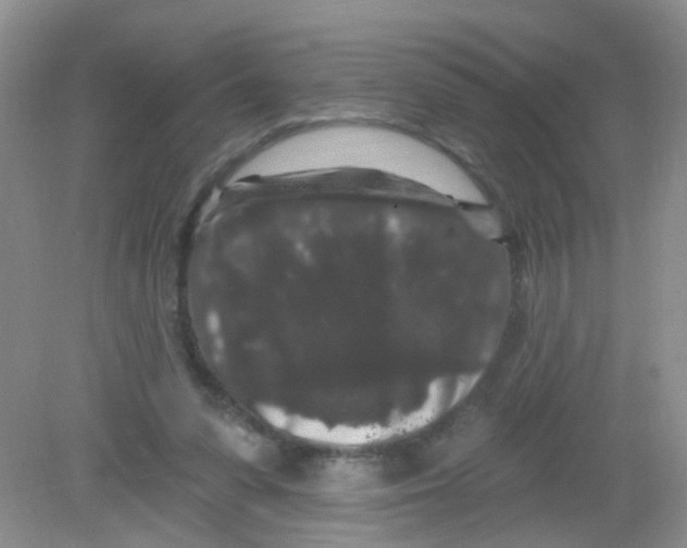 X0000081620303200702051240