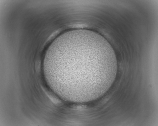 X0000081620304200702051240