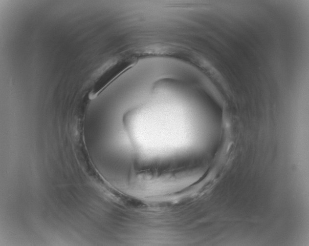 X0000081620305200702051240