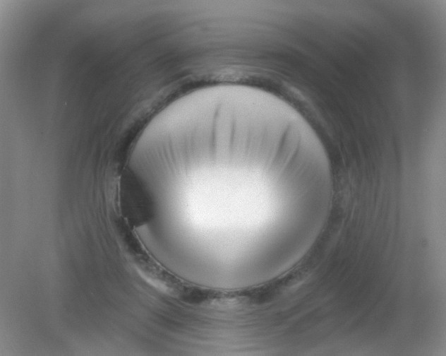 X0000081620307200702051239