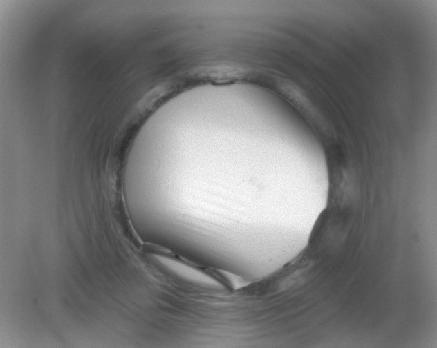 X0000081620309200702051239
