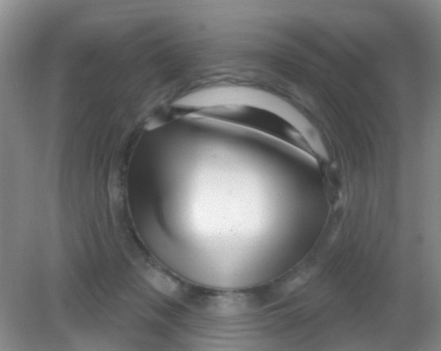 X0000081620317200702051239
