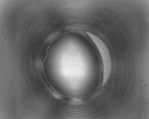 X0000081620333200702051239
