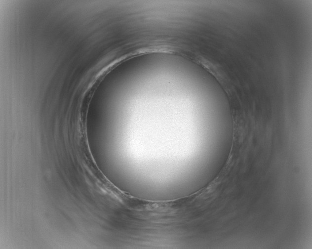 X0000081620338200702051238