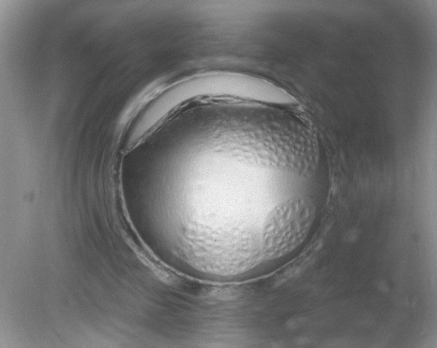 X0000081620341200702051238