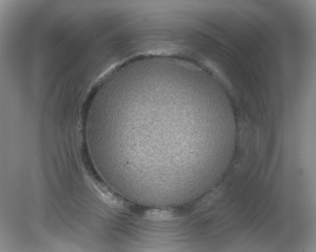 X0000081620354200702051238
