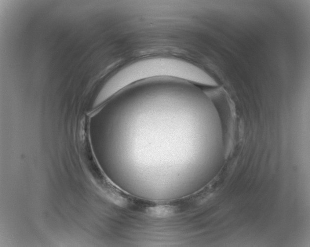 X0000081620356200702051239