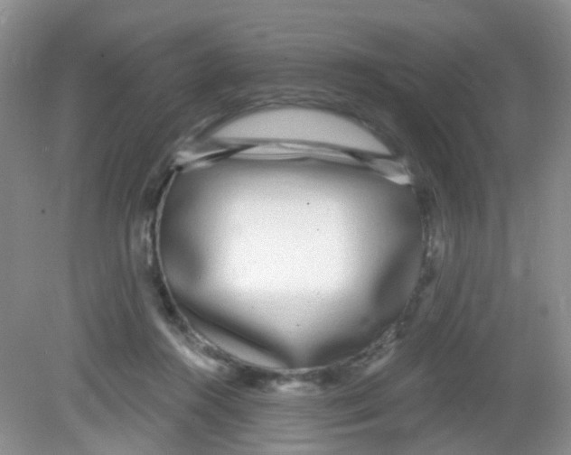 X0000081620360200702051239