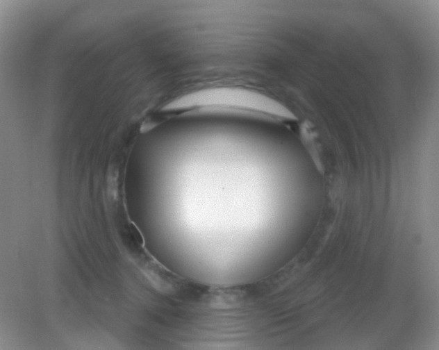 X0000081620368200702051239