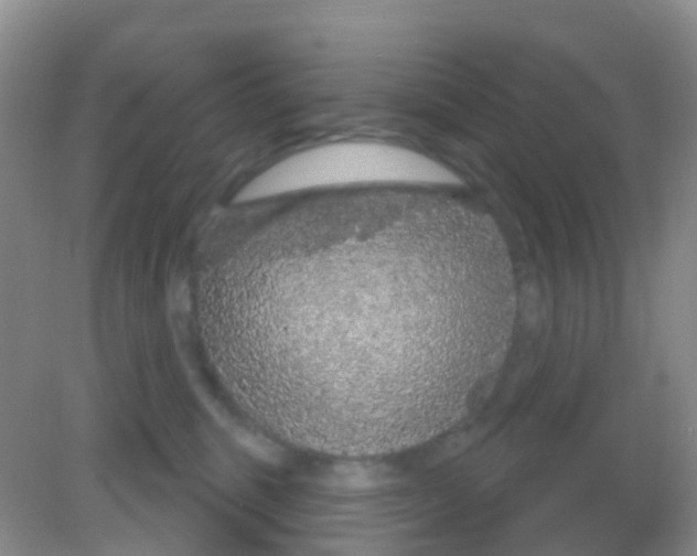 X0000081620375200702051239