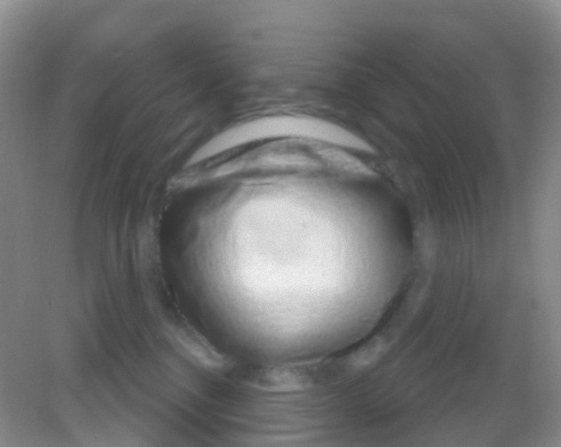 X0000081620376200702051239