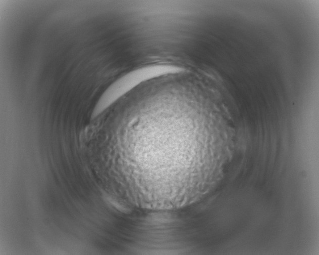X0000081620377200702051239