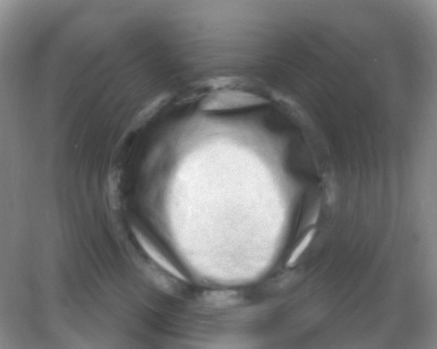 X0000081620378200702051239
