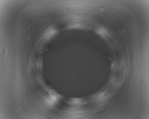X0000081620382200702051239