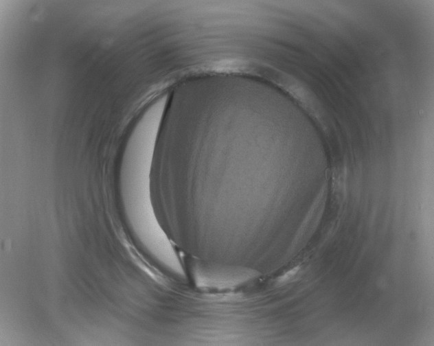 X0000081620397200702051238