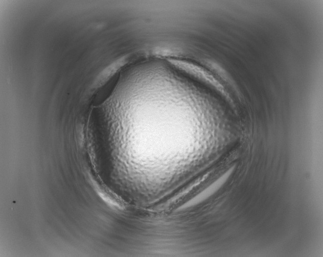 X0000081620401200702051238