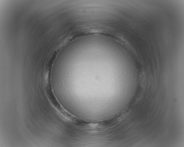 X0000081620406200702051238
