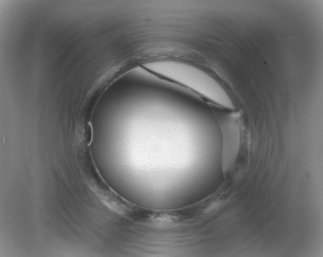 X0000081620407200702051238
