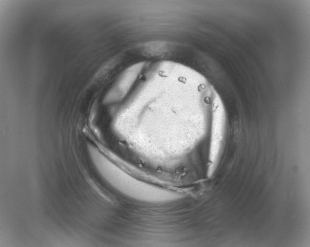 X0000081620408200702051238