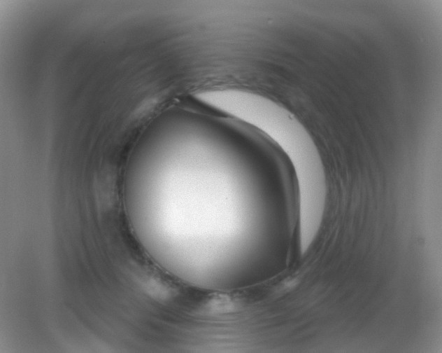 X0000081620416200702051238