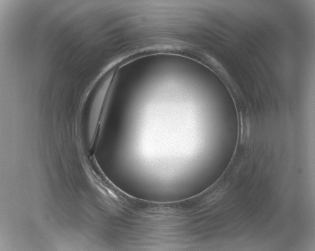 X0000081620435200702051237