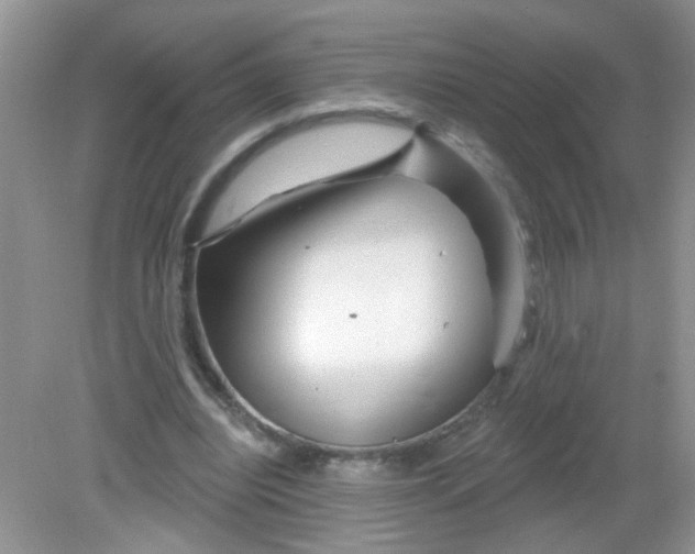 X0000081620440200702051237