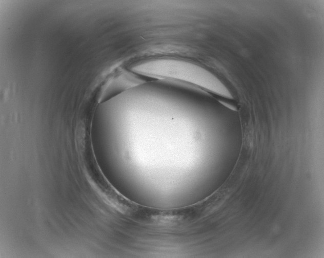 X0000081620448200702051237
