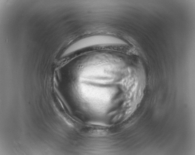 X0000081620449200702051237
