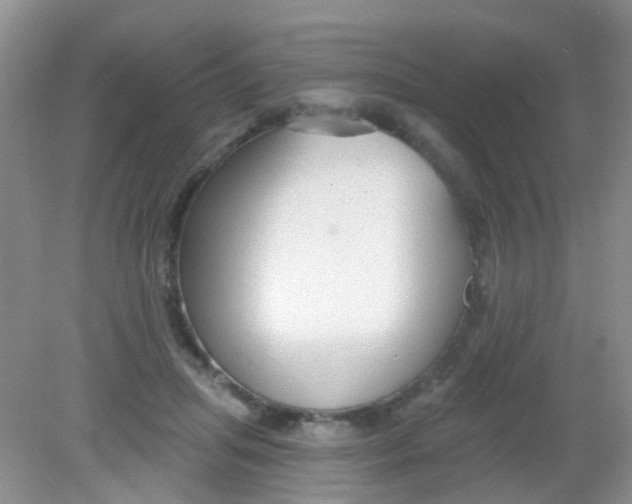 X0000081620455200702051237