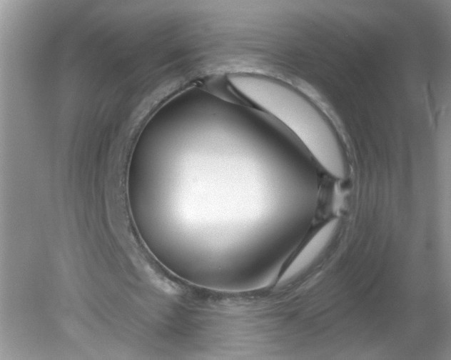 X0000081620481200702051237