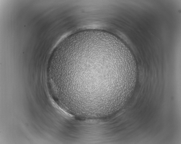 X0000081620482200702051237