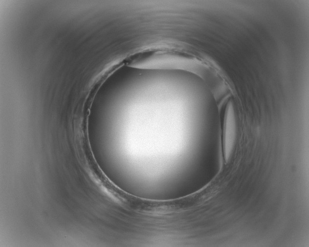 X0000081620485200702051236