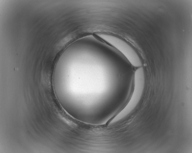 X0000081620489200702051236