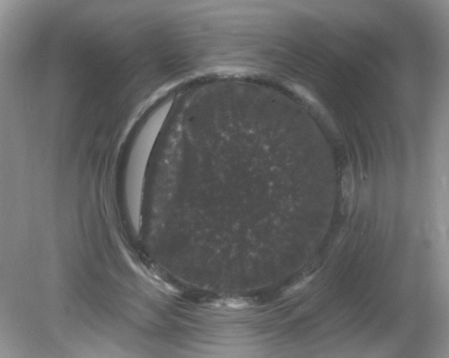 X0000081620492200702051236