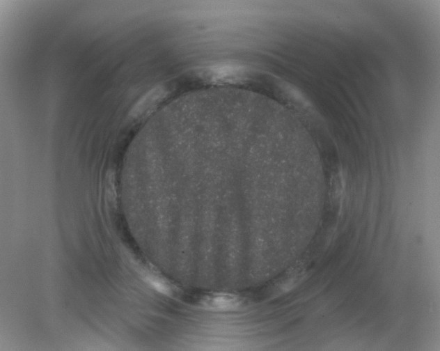 X0000081620506200702051236