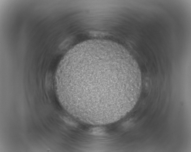 X0000081620511200702051236