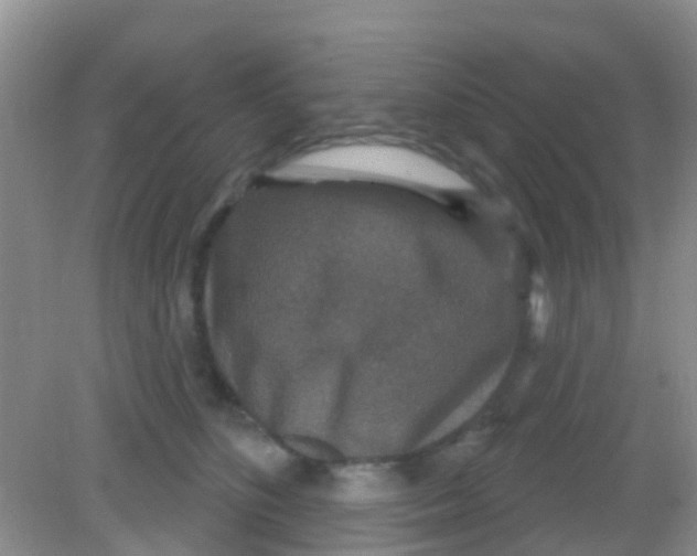 X0000081620516200702051236
