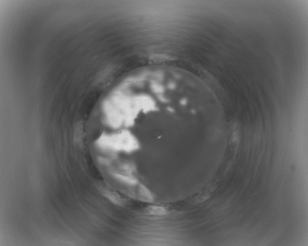 X0000081620519200702051236